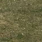 Profile Picture of Edvin lindström (@edvinlindstrom67) on Instagram