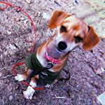 Profile Picture of Buddy Floyd (@buddyyboy5) on Instagram