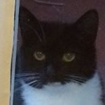 Profile Picture of George Palmer (@georgepalmer64) on Instagram