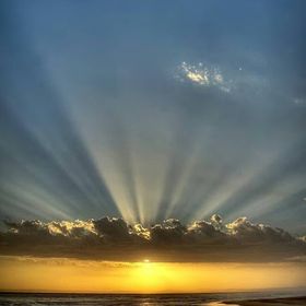 Mickey Cherry - Pinterest Profile Picture of Mickey Cherry (@mcherry0104) on Pinterest