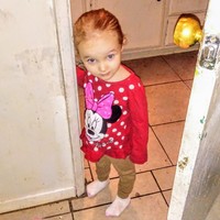 Profile Picture of Joseph Ciardullo (@joseph-ciardullo) on Quora