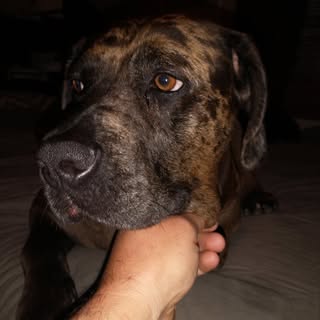 Profile Picture of John Faccone (@johnpfaccone) on Instagram