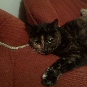 Profile Picture of Leonor Sandoval S (@kandy1985) on Twitter