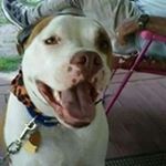 Profile Picture of Tammy Benoit (@tammy.benoit.735) on Instagram