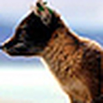 Profile Picture of Adam Sanchez (@sanchez375) on Flickr