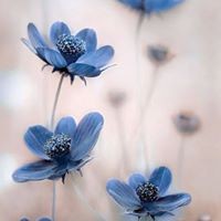 Profile Picture of Tamara Orr (@tamara-orr-2) on Quora