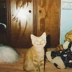 Profile Picture of Wilson Edwards (@Wilson-Edwards) on Facebook