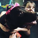 Profile Picture of Max Dodds (@maxdodds2011) on Instagram
