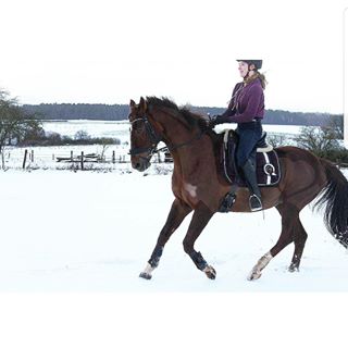 Profile Picture of Lara Kunz (@lara.kunz.92) on Facebook