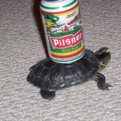 Profile Picture of Dustin Gilbert (@Bigpermm18) on Twitter