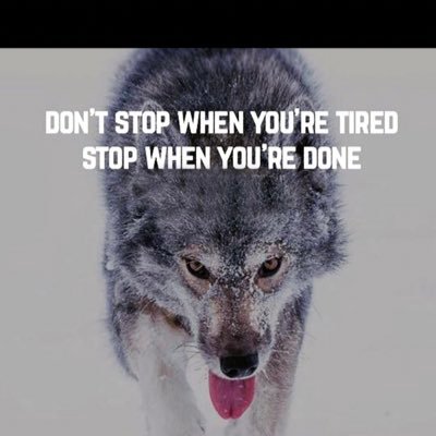 Profile Picture of Kim Carver (@KCarver72) on Twitter