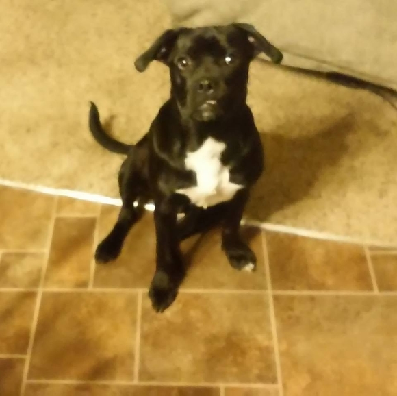 Kylee Sowers - Poshmark Profile Picture of Kylee Sowers (@kyleems06) on Poshmark