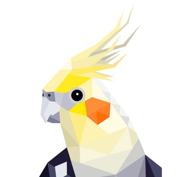 Profile Picture of Forest Fox (@forest_fox) on Poshmark