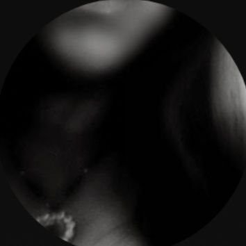 Profile Picture of CapricornSisterRuby L'andrew fanpage (@ShandrewW) on Twitter