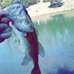 Profile Picture of Neil Shirley (@shirley_neil) on Instagram