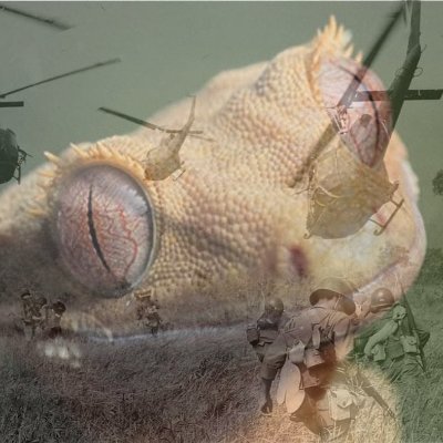 Profile Picture of Dylan Lackey (@dylan_lackey) on Twitter