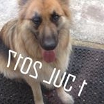 Profile Picture of Tom Wakefield (@twakey07) on Instagram