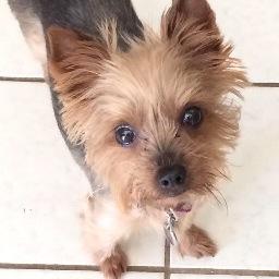 Profile Picture of Richard Proffitt (@leproffitt) on Twitter