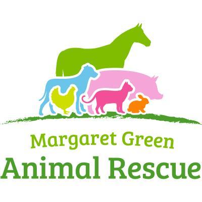 Profile Picture of MG Animal Rescue (@MGAnimalRescue) on Twitter