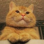 Profile Picture of David honko (@david.honk) on Instagram