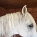 Profile Picture of Janet Stivers (@janet.stivers.712) on Facebook