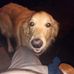 Profile Picture of Gary Pfeffer (@gary.pfeffer.56) on Facebook