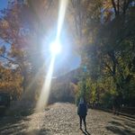 Profile Picture of Coley Clarke (@owaingakauohia09) on Instagram