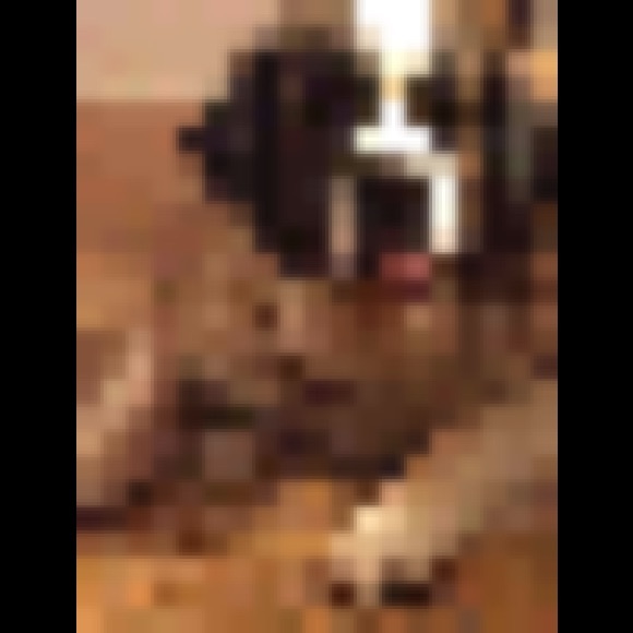 Profile Picture of Marilyn Goumans (@mgoumans98) on Poshmark