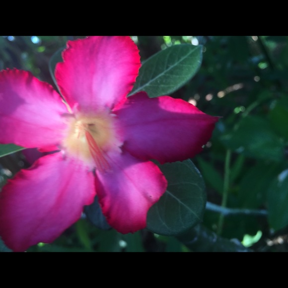 Profile Picture of David Low (@reypastyro) on Poshmark