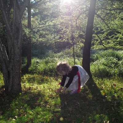 Profile Picture of Mike Howlett (@michael77799517) on Twitter