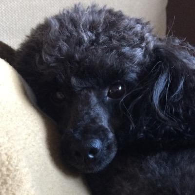 Profile Picture of Maika Ure Ben (@@CBenj_Ure) on Twitter