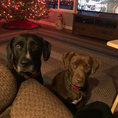 Profile Picture of Deborah Wilday (@coachwil6) on Twitter