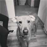 Profile Picture of Scott Wesley (@scott.wesley.142) on Instagram