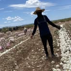 Profile Picture of Tony Macario (@Tony-Macario) on Facebook