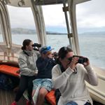 Profile Picture of Janet Angus (@_ja_11) on Instagram