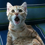 Profile Picture of Huy Vu (@smartfriend) on Flickr