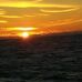 Profile Picture of Paul Houle (@paul.houle.52) on Facebook