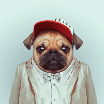 Profile Picture of Fernando Alcocer (@AVwhitesands) on Twitter