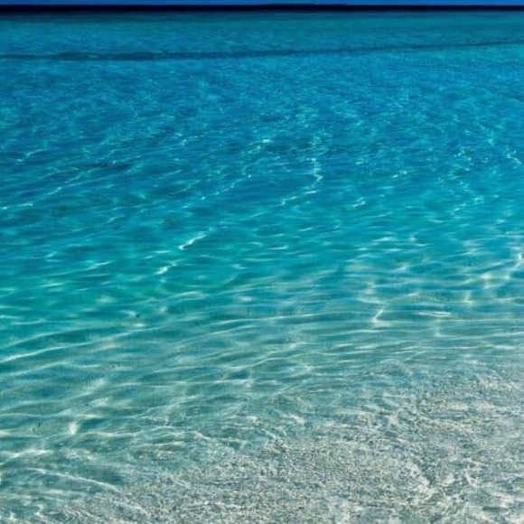 Profile Picture of Edward Qiu (@qiuguangye1) on Poshmark