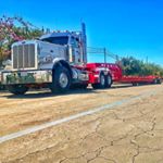 Curtis Dooley - Instagram Profile Picture of Curtis Dooley (@westcoast_haulers) on Instagram