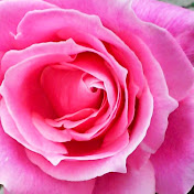 Profile Picture of Hiram Gonzalez (@hiramgonzalez4262) on Youtube