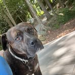 Profile Picture of Greek Fors (@Greek-Fors) on Facebook