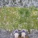 Profile Picture of Ayi, Chandra Savitri (@ayichandra) on Pinterest