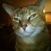 Profile Picture of Logan Kepner (@logan.kepner) on Facebook