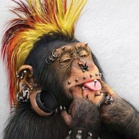 Profile Picture of Tony Uribe (@tony-uribe-8) on Quora