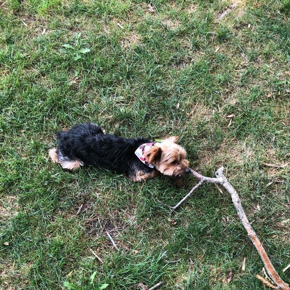 Profile Picture of Christian Rodrigues (@crgpa) on Poshmark