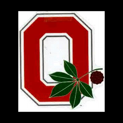 Profile Picture of Dawn Helms (@buckeyes1973) on Twitter