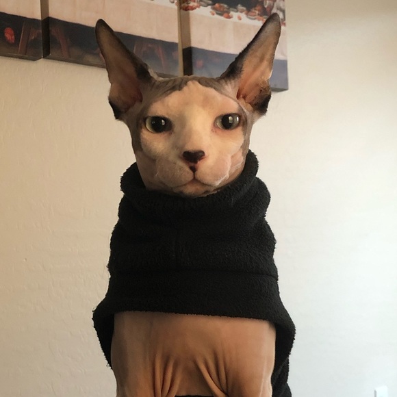 Profile Picture of Jessica Arrietta (@jarr13tta) on Poshmark