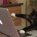 Profile Picture of Mark Hersch (@markmhersch) on Pinterest