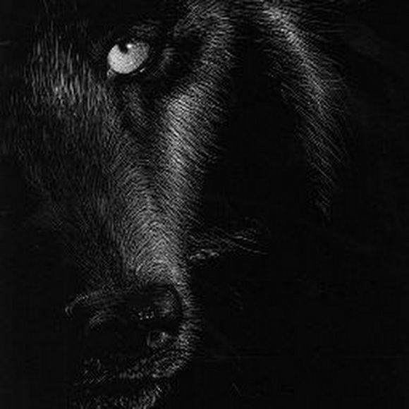 Profile Picture of Joseph Richard (@joerich91) on Poshmark